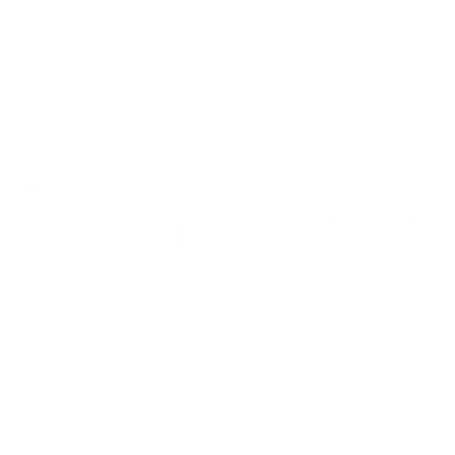 FRIDERICH - Agence de communication digitale - DIGITEA