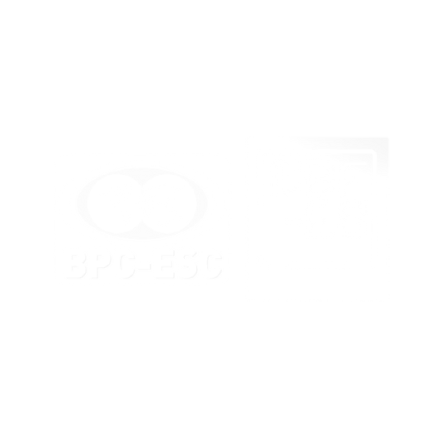 BPC-ESC FREYMING ECOLE DE COMMERCE - Agence de communication digitale - DIGITEA